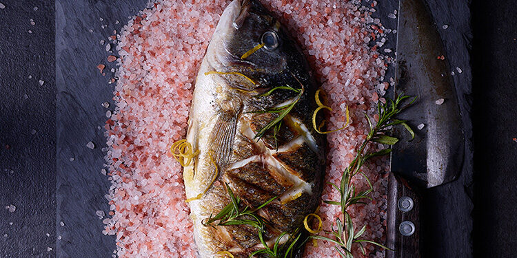 dorade fisch foodstyling und foodfotografie wesemann werbeagentur