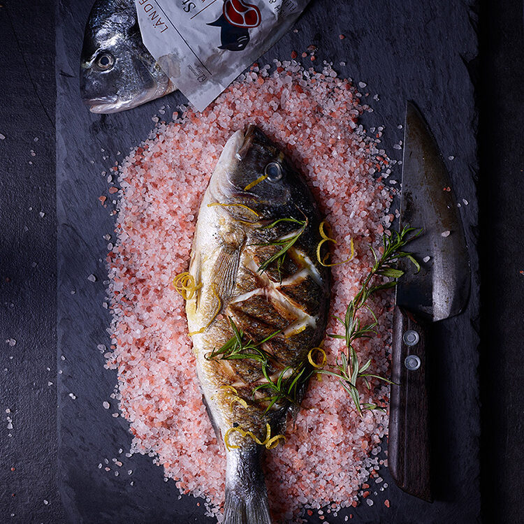 dorade fisch foodstyling und foodfotografie wesemann werbeagentur