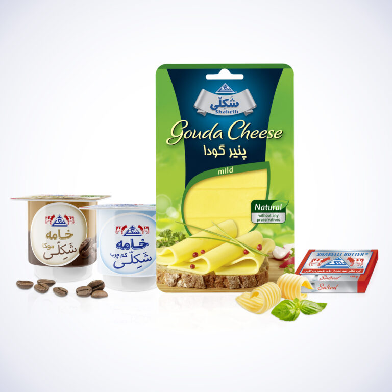 verpackungsdesign wesemann werbeagentur für shakelli