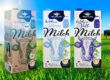 modernes verpackungsdesign lebensmittel milch